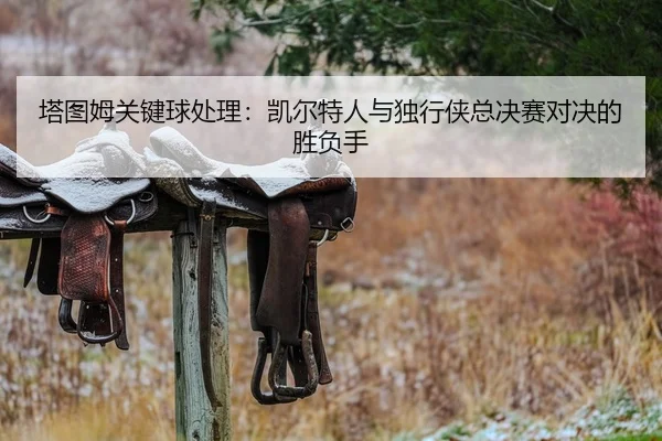 塔图姆关键球处理：凯尔特人与独行侠总决赛对决的胜负手
